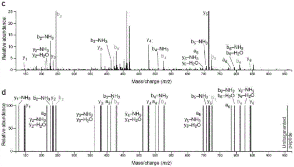 Tandem mass spectrometric identification method for protein based on matching between characteristic information of target database and decoy database