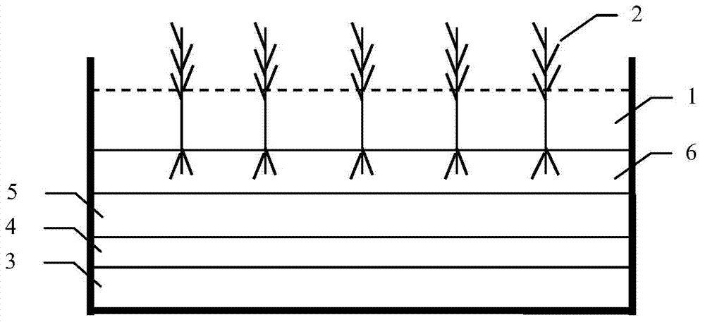 High-salinity agricultural irrigation back water and soil improvement constructed wetland substrate structure and constructing method