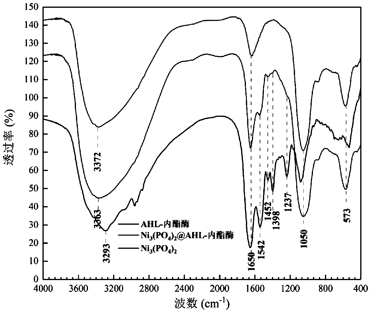 N-acyl homoserine lactonase-inorganic hybrid nano-catalyst and preparation thereof