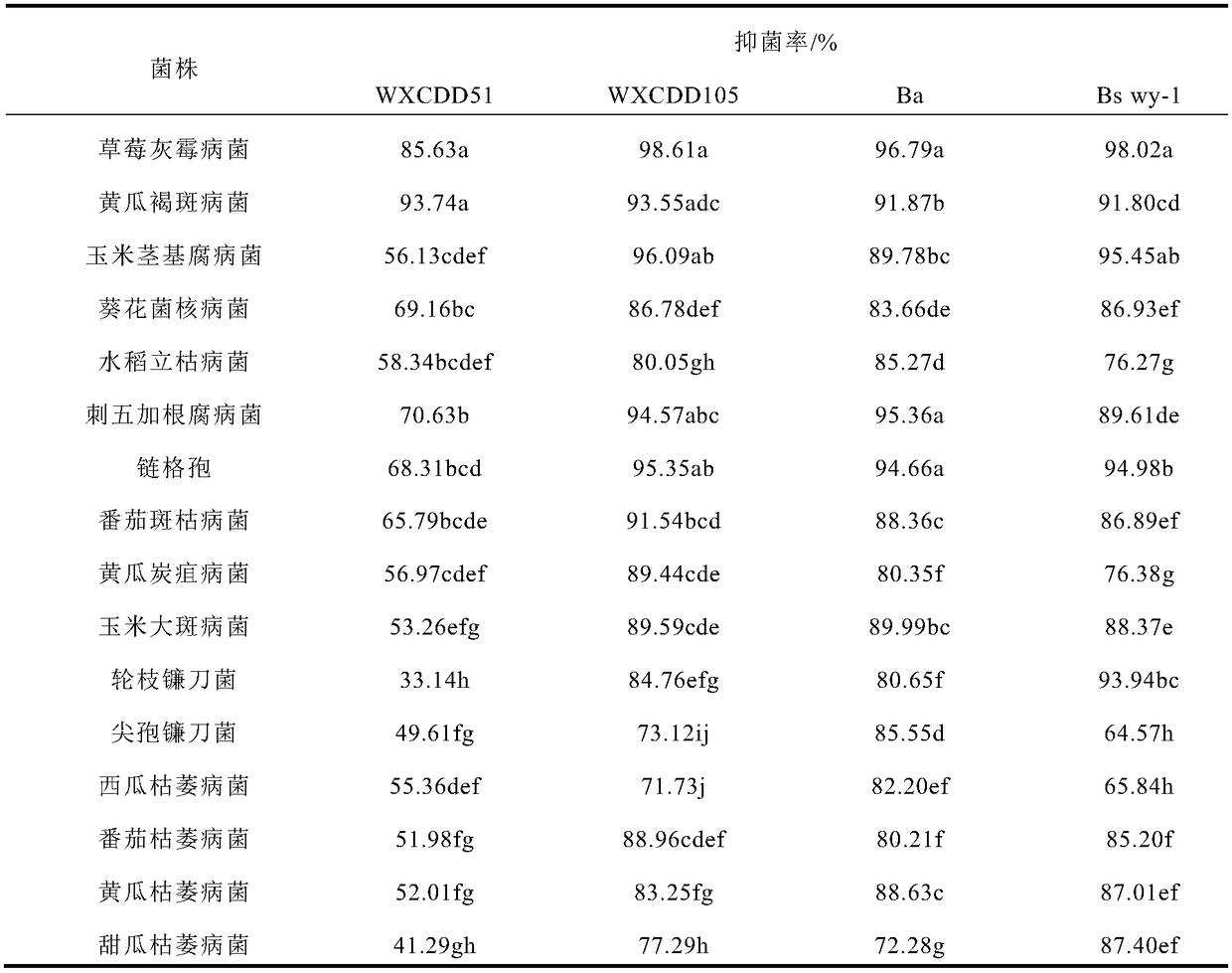 Biocontrol microbial inoculum composition for controlling gray mold and leaf mold of tomatoes