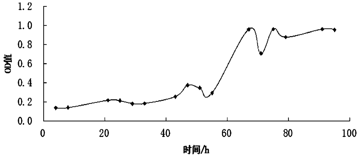 A kind of high sugar tolerance yeast and its application