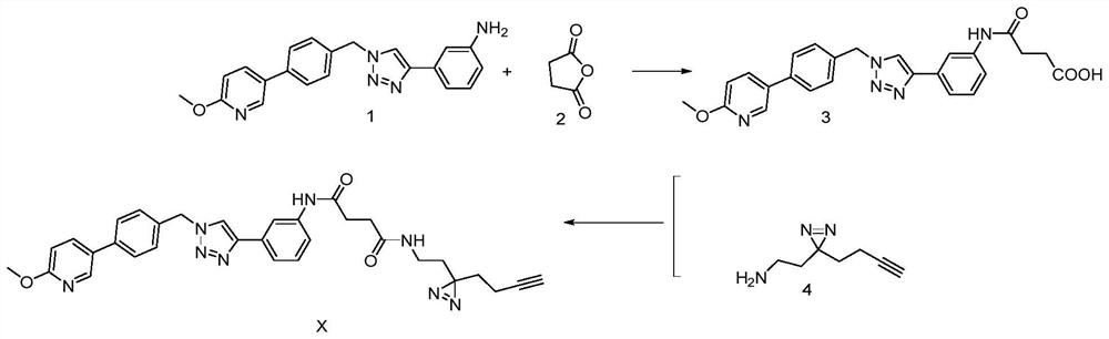 Triazole active molecule-based photoaffinity probe molecule as well as preparation method and application thereof