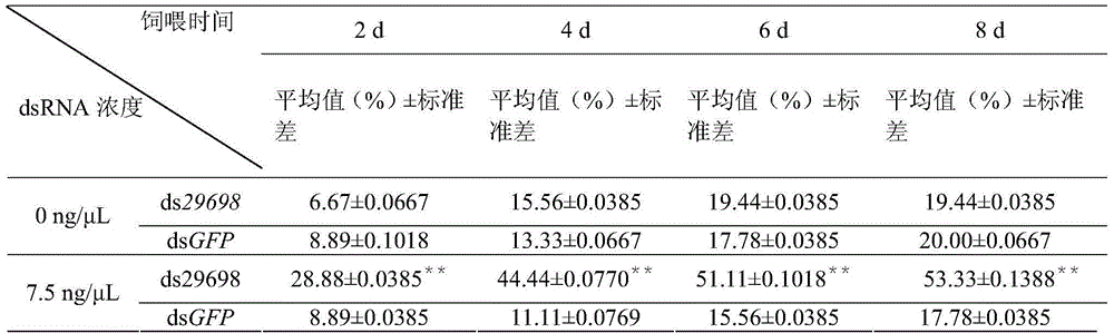 A kind of dsRNA of aphid symbiont gene and its application in reducing the survival rate of aphid