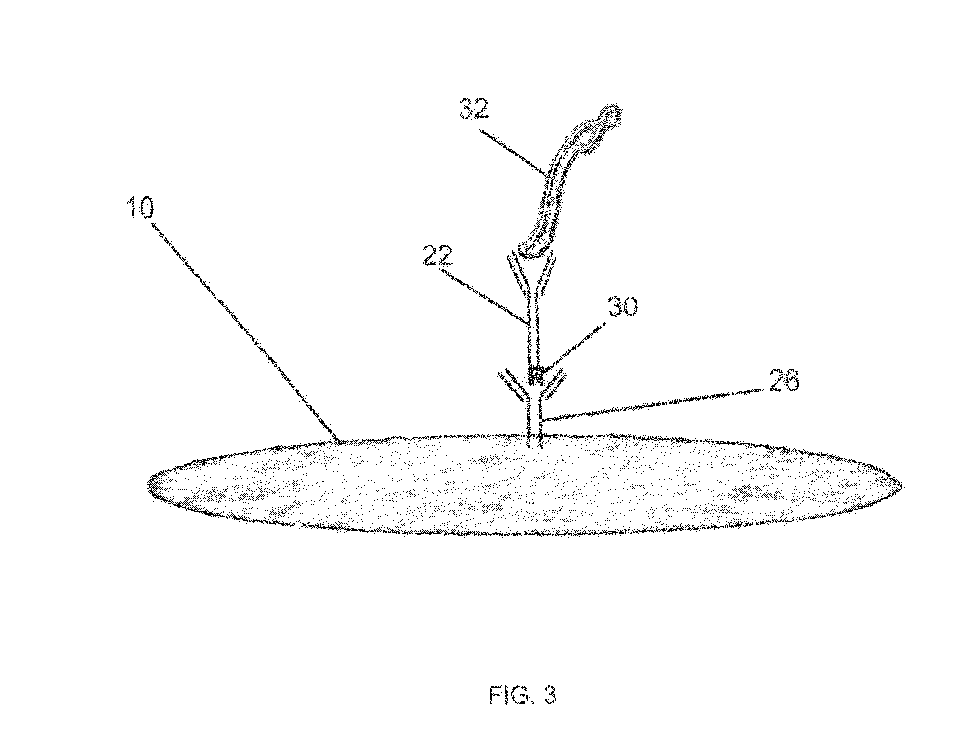 Methods and Devices for Rapid Detection of Live Microorganisms by Aptamers and/or Antibodies Immobilized on Permeable Membranes