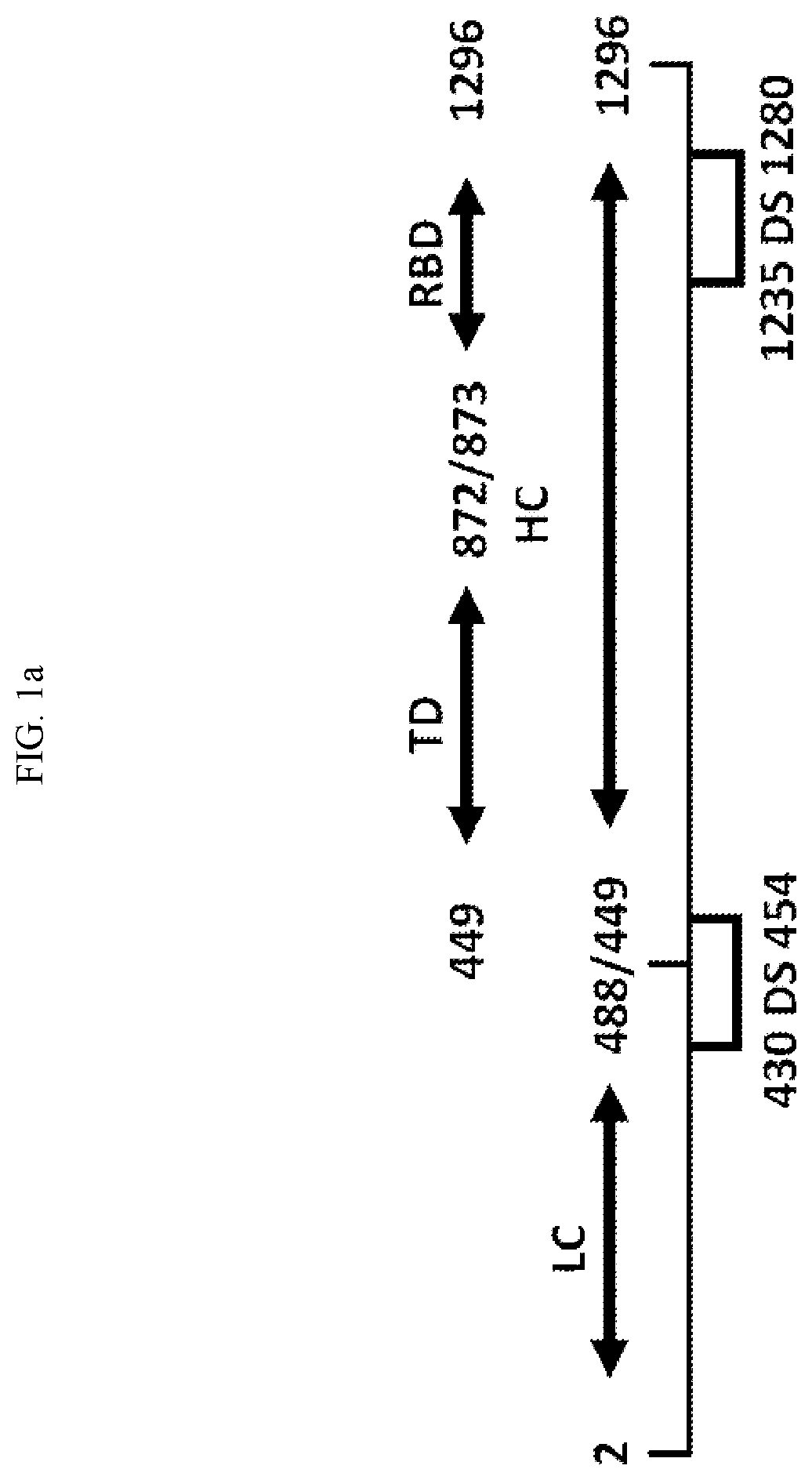 Method for safely producing botulinum neurotoxin