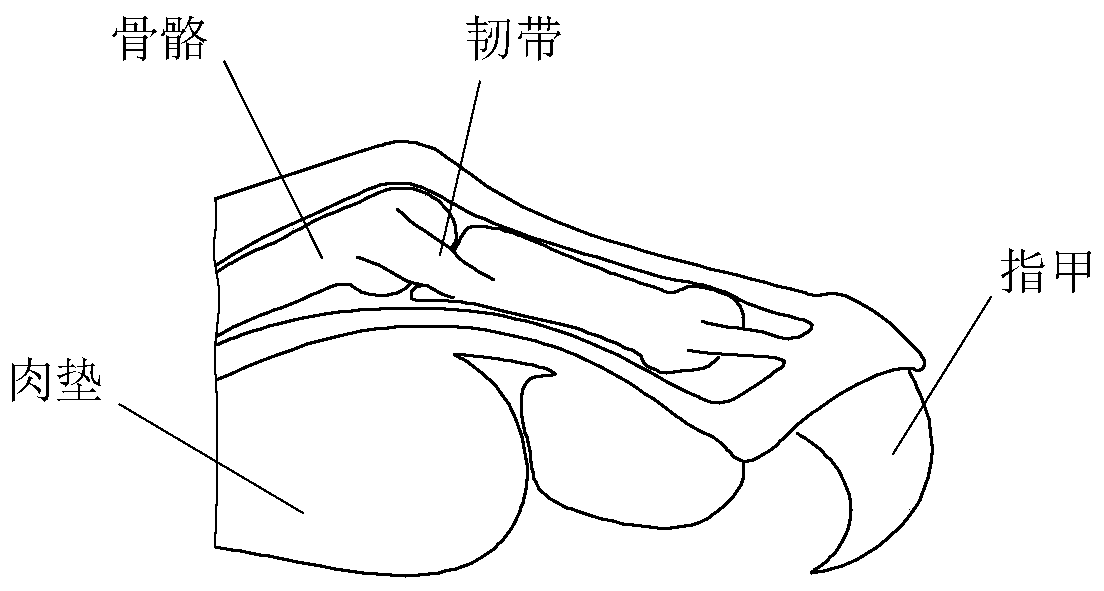 Bionic adaptive pressure equalization active vibration reduction pdc drill bit