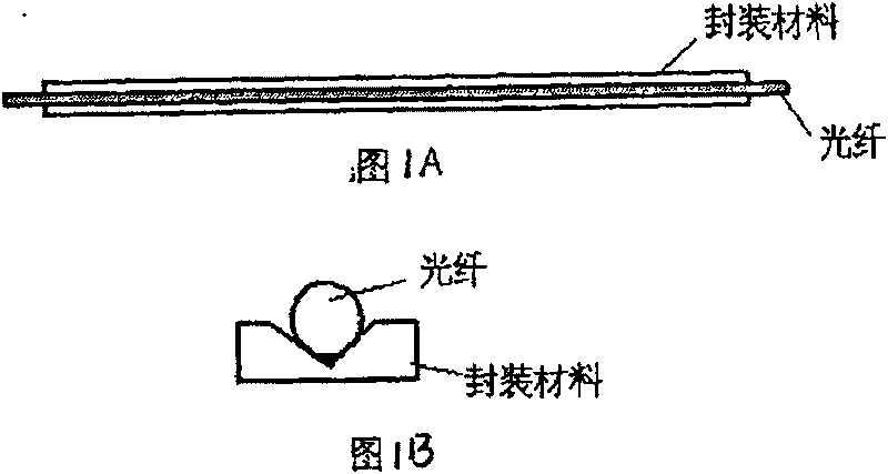 Bored concrete pile foundation distributing optical fiber sensing detecting method