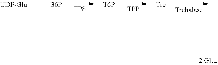 Method for enhancing crop yields by application of trehalose