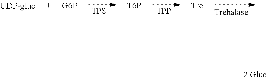 Method for enhancing crop yields by application of trehalose