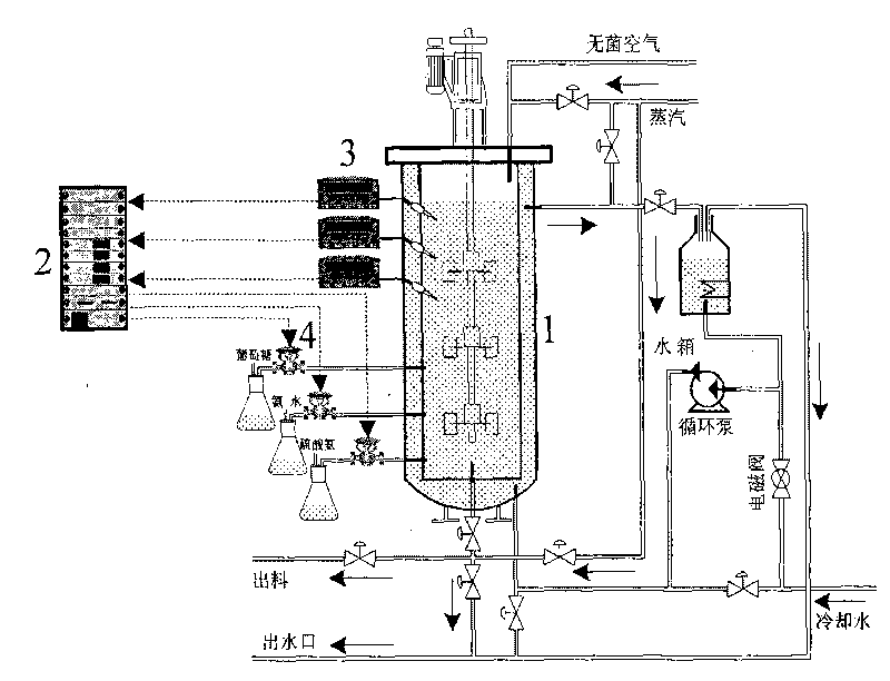 Lysine fermentation process feeding prediction control system and method based on fuzzy neural network