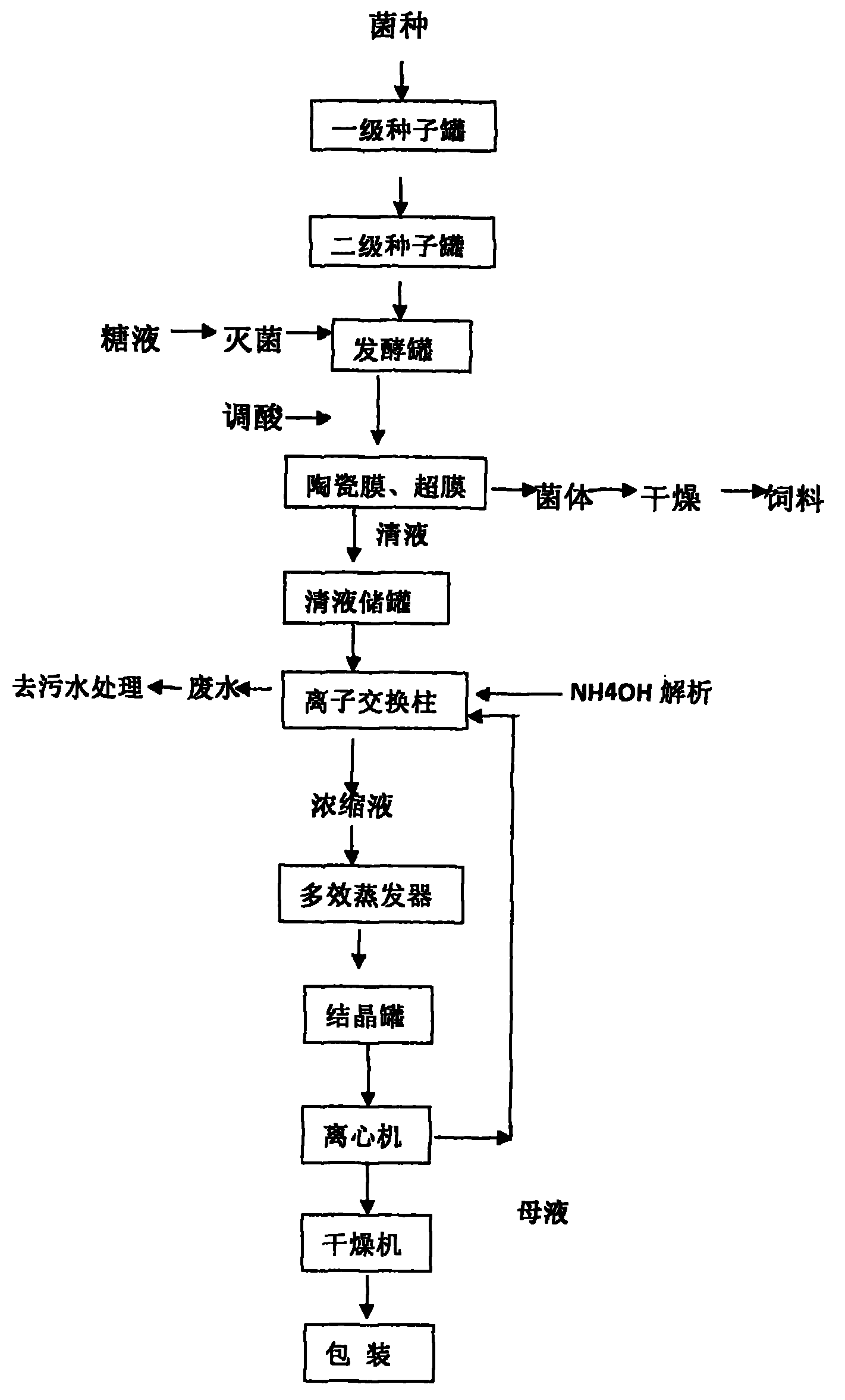 L-phenylalanine production process