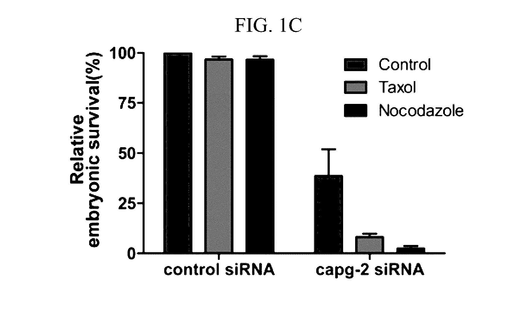 Peptides derived from ncapg2 and their use