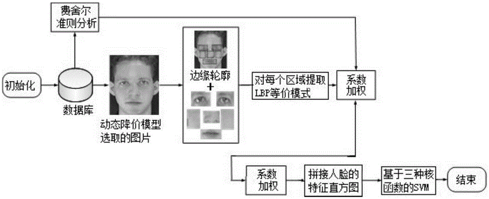 A video human face living body detection method