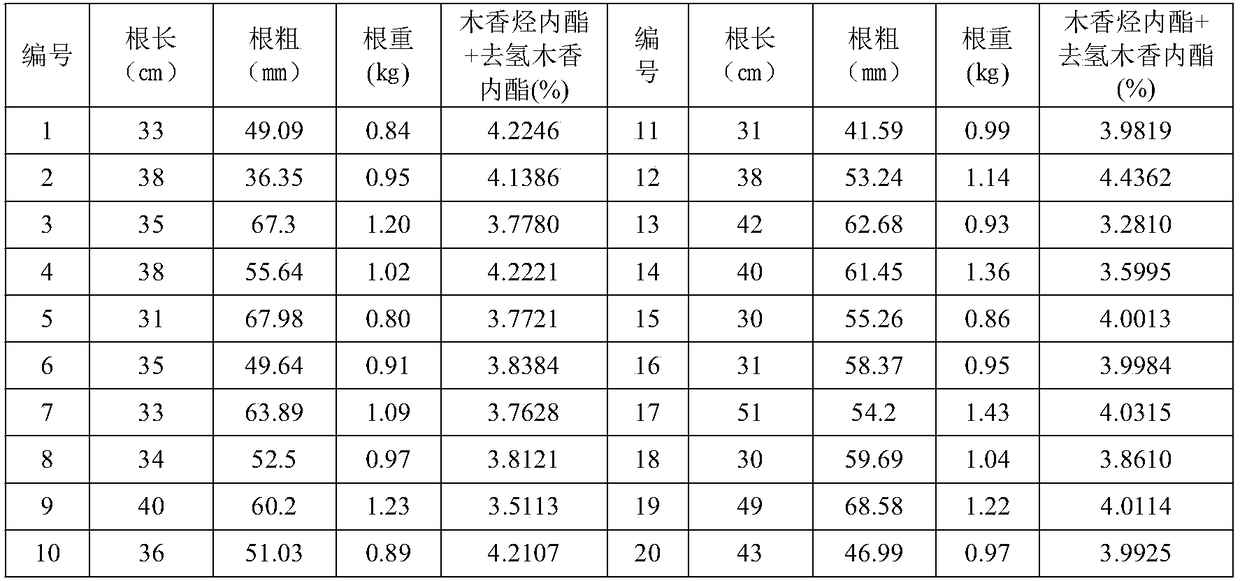 A method for the selection and propagation of fine varieties of A. chinensis single plant-mother line selection