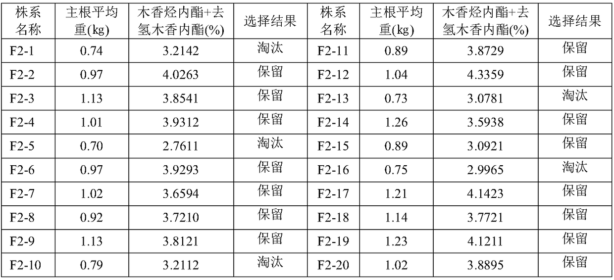 A method for the selection and propagation of fine varieties of A. chinensis single plant-mother line selection