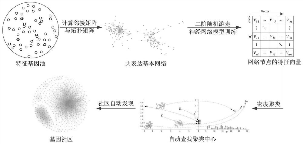 A co-expression network-based method for mapping cancer target markers