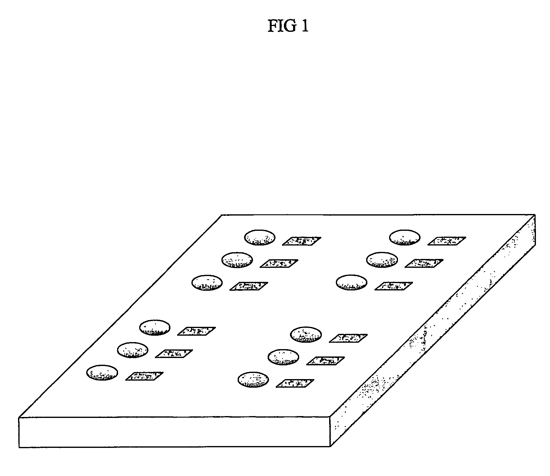 Nanotopographic compositions and methods for cellular organization in tissue engineered structures