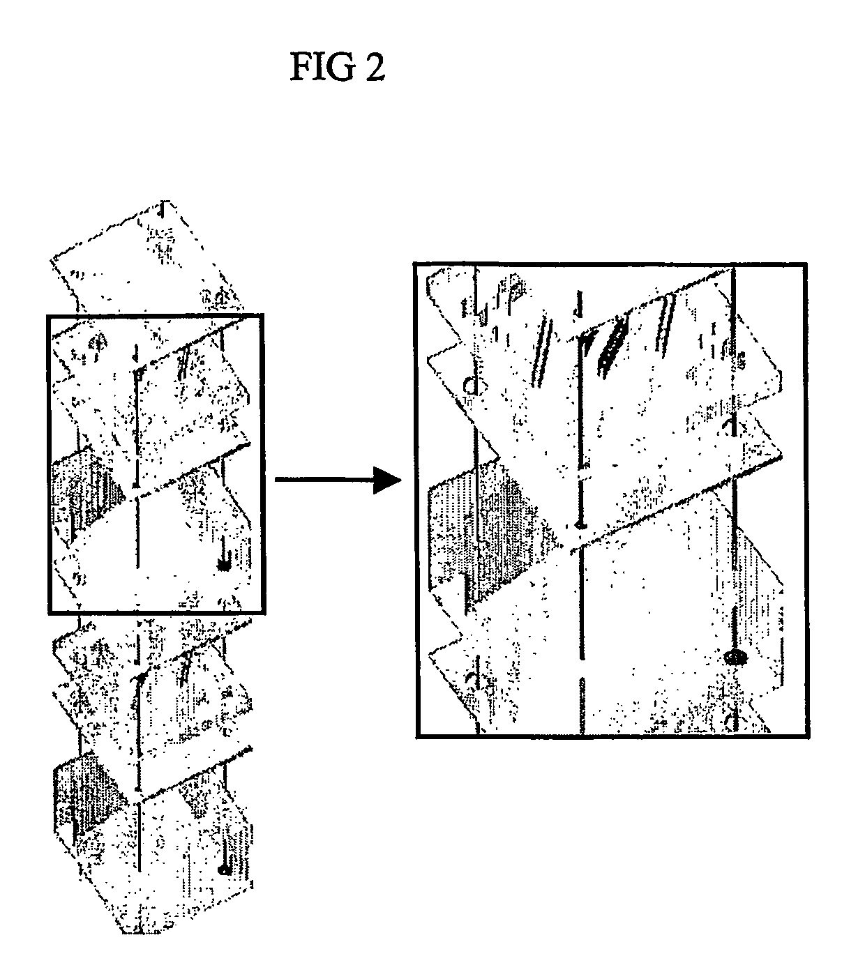 Nanotopographic compositions and methods for cellular organization in tissue engineered structures