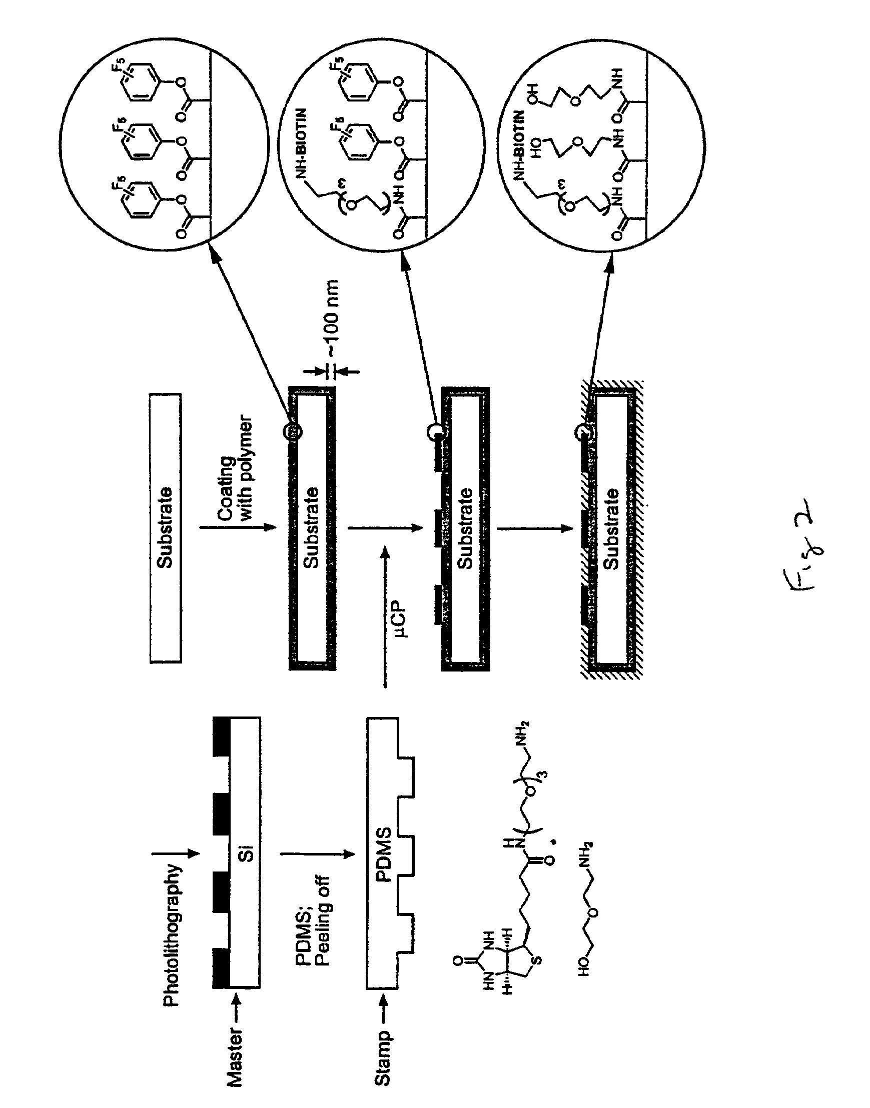 Reactive polymer coatings