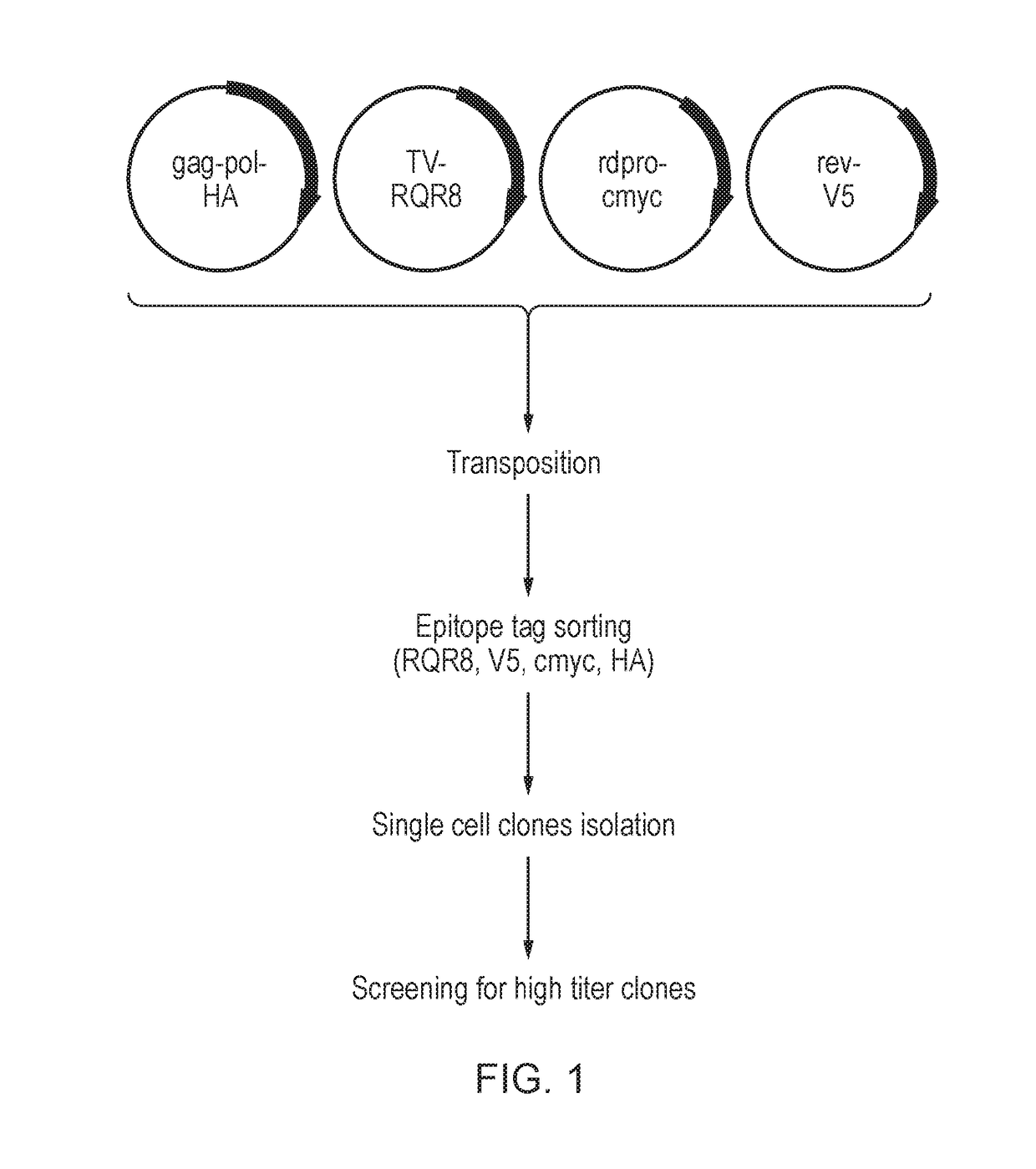 Nucleic acid constructs for producing retroviral vectors