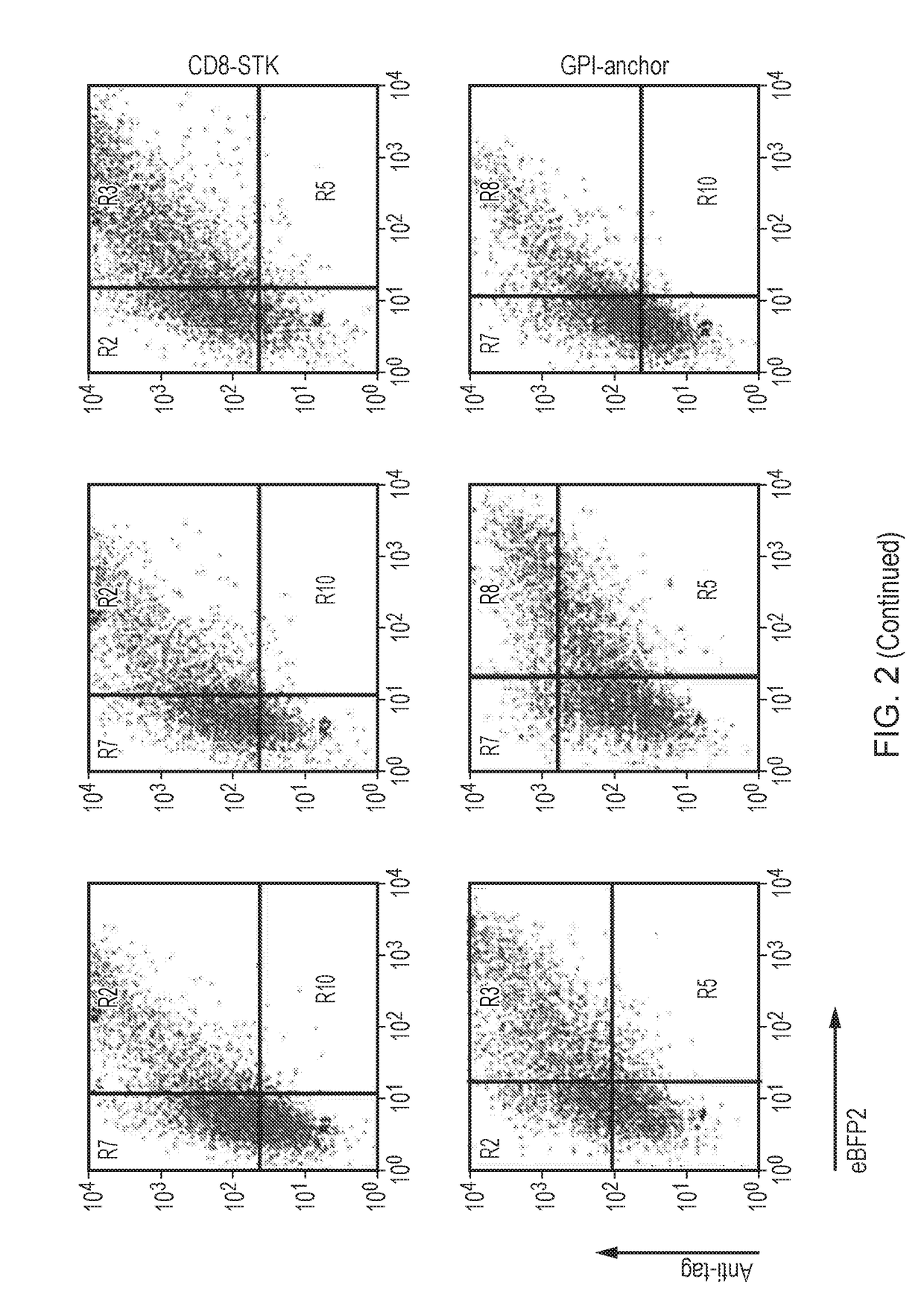 Nucleic acid constructs for producing retroviral vectors