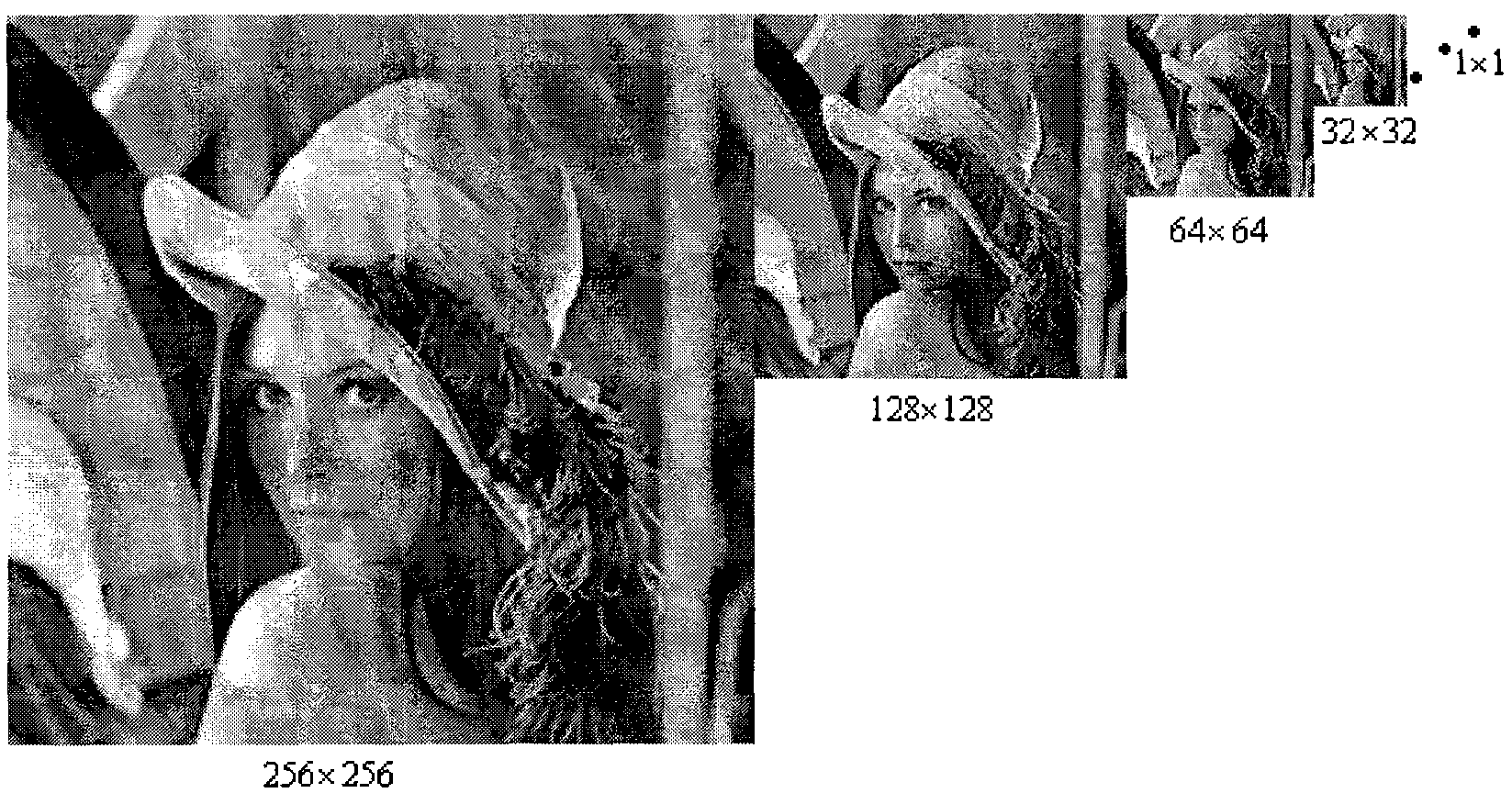 Texture filtering method and device based on anisotropy