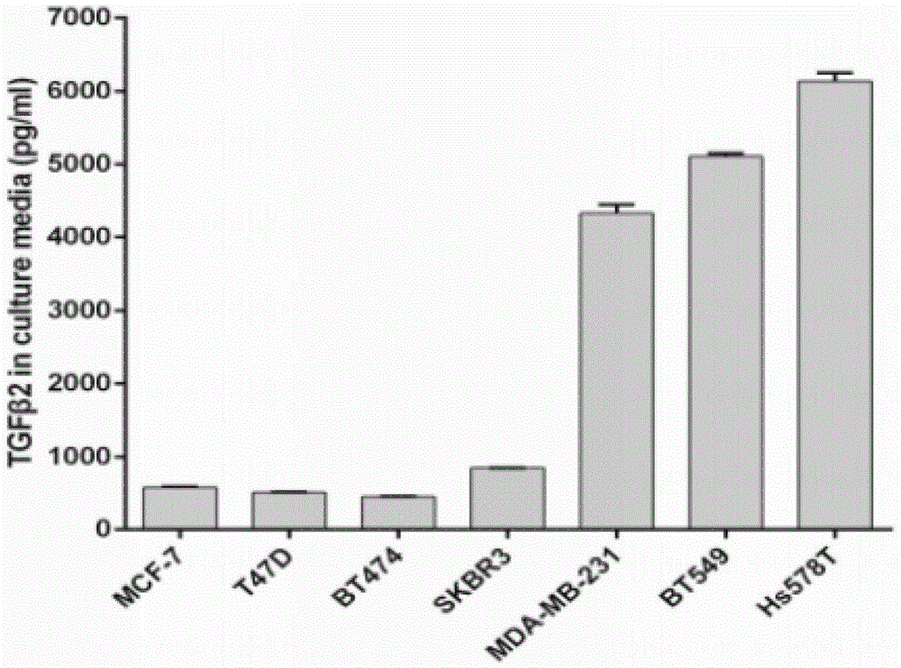 TGF beta2 gene, TGF beta 2 polypeptide and application thereof