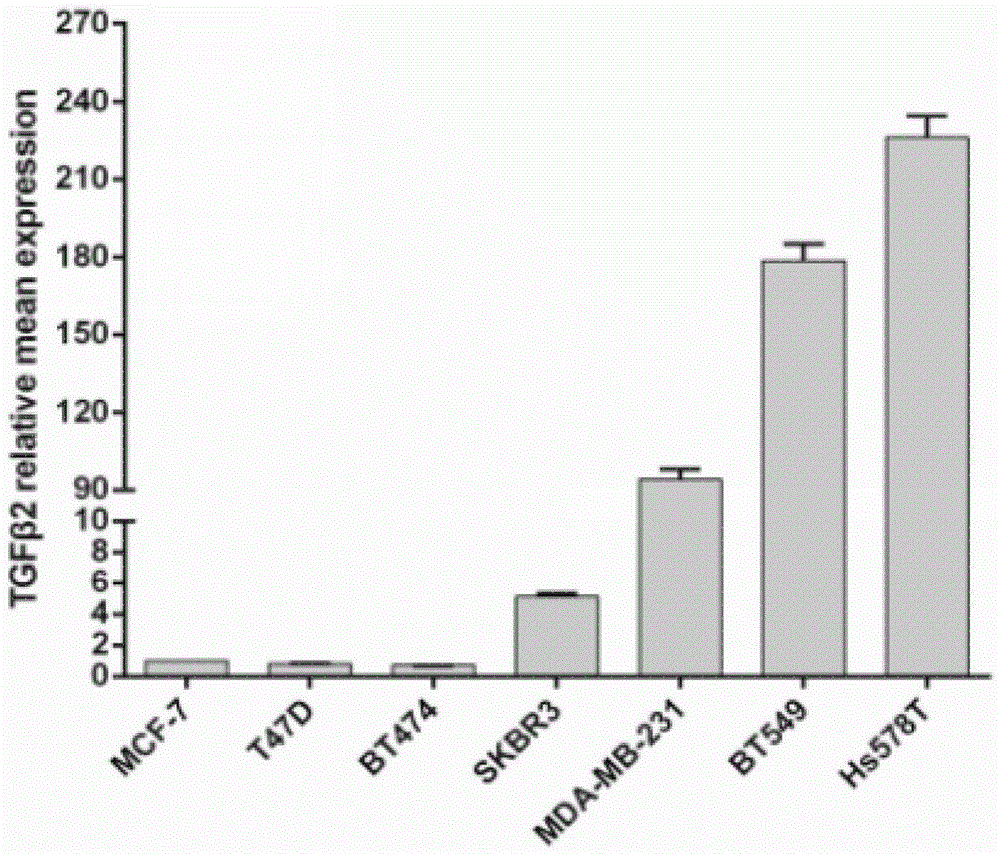 TGF beta2 gene, TGF beta 2 polypeptide and application thereof