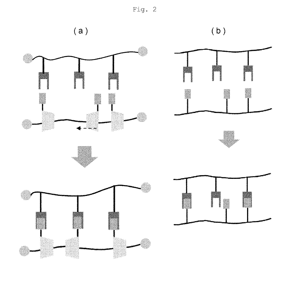 Self-restoring macromolecular material and production method for same