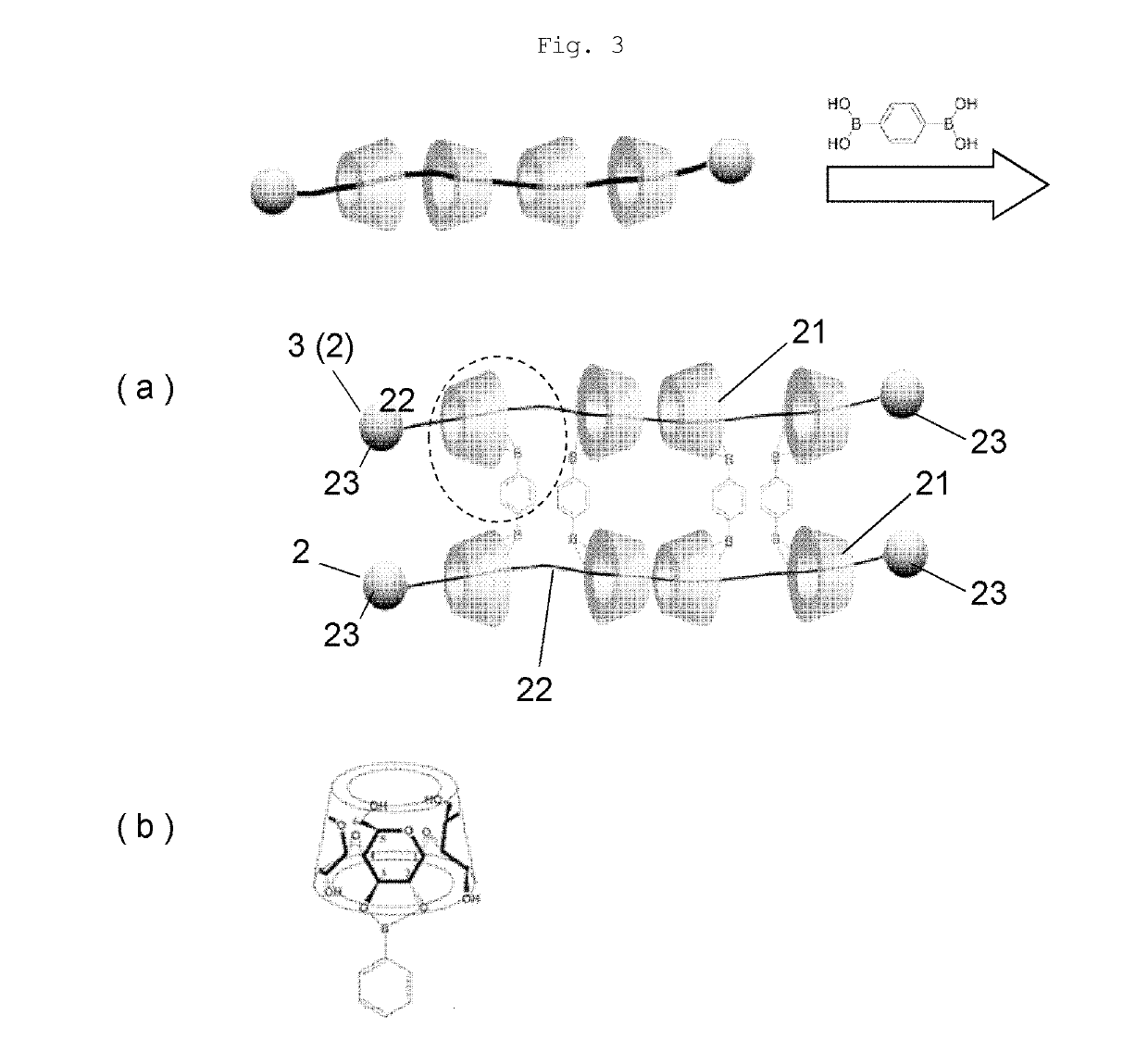 Self-restoring macromolecular material and production method for same