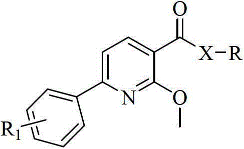 Aryl pyridine/pyrimidine compound and application thereof