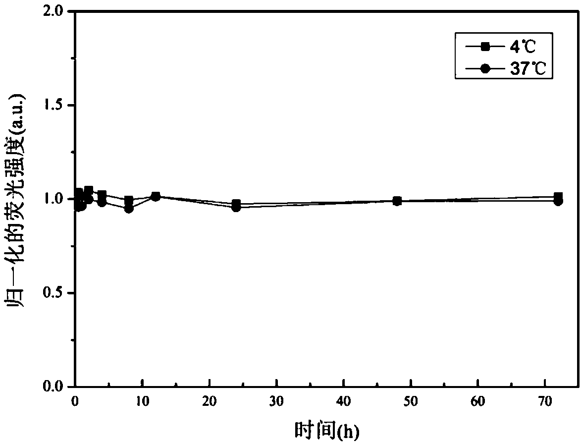 Double-emitting fluorescent nanoparticle preparation method