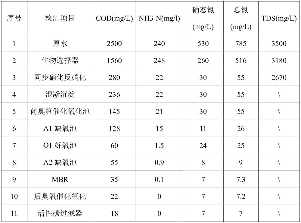 Whole-process nylon 66 salt production wastewater treatment method