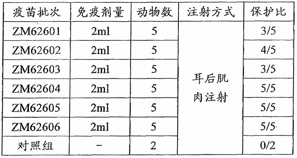 Peptide vaccine used for animal and its preparation