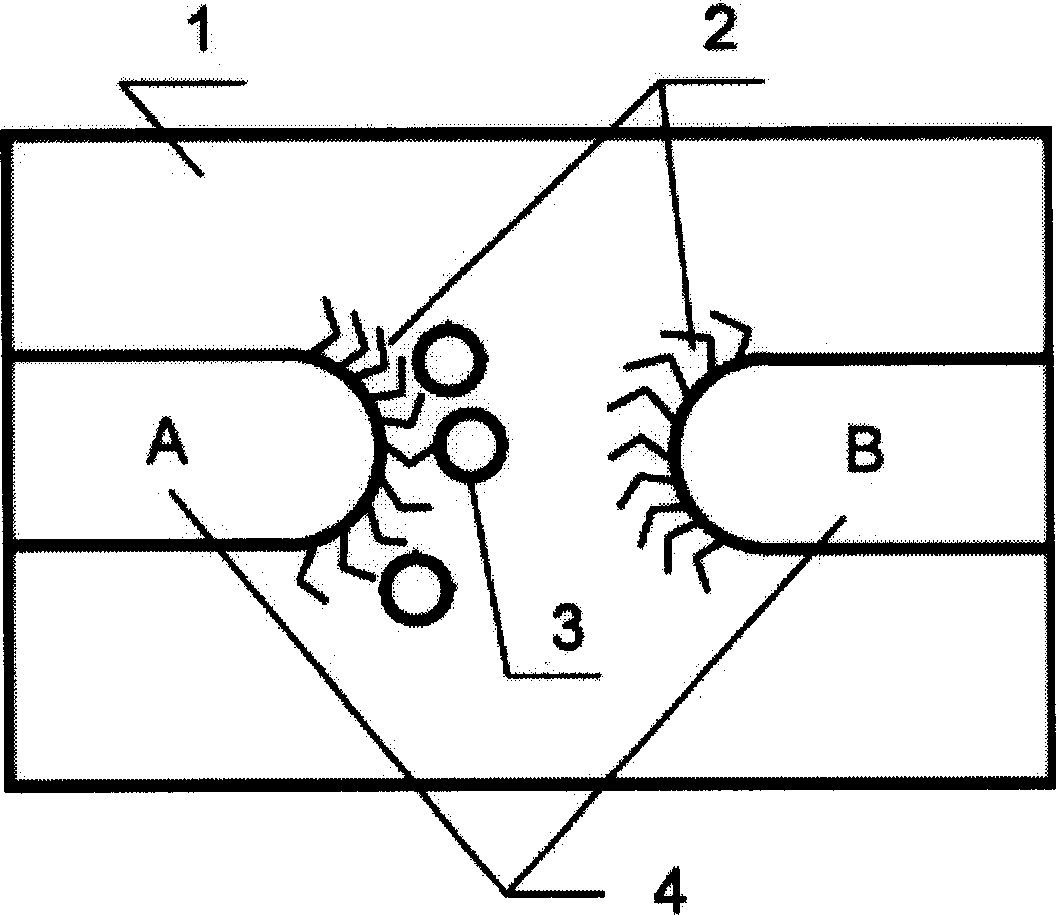 Coulomb island style rectifying monomolecular diode and preparation thereof