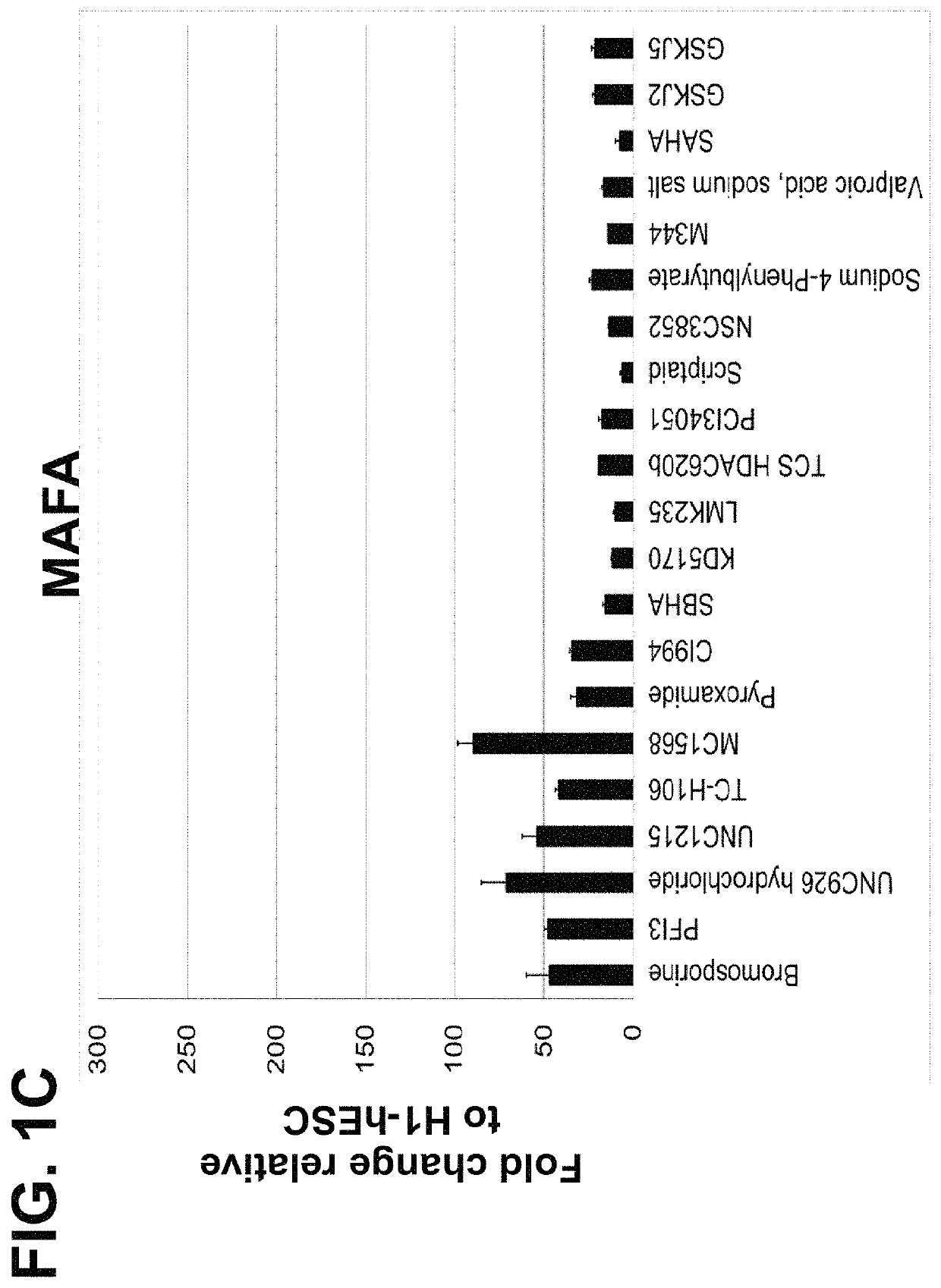 Methods for production of functional beta cells