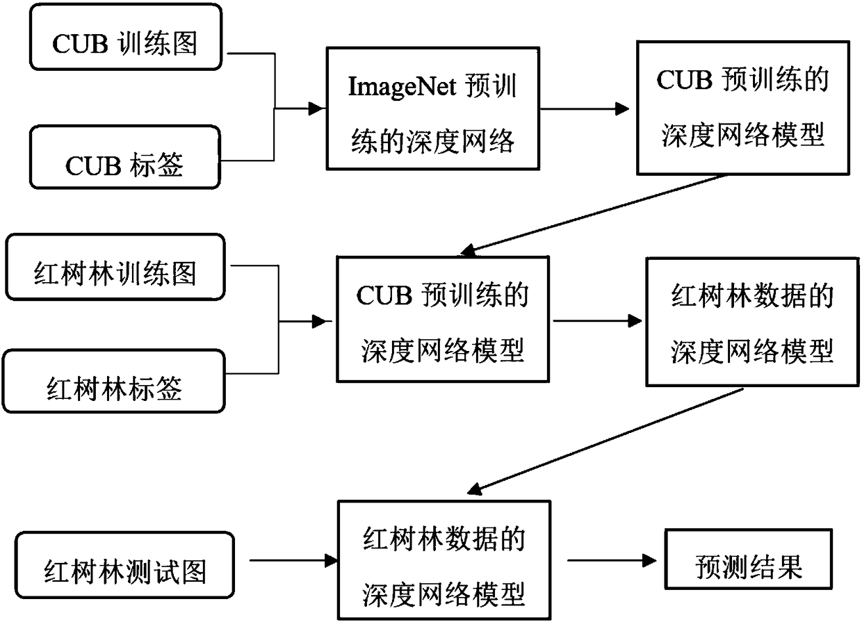 Bird identification method based on deep learning