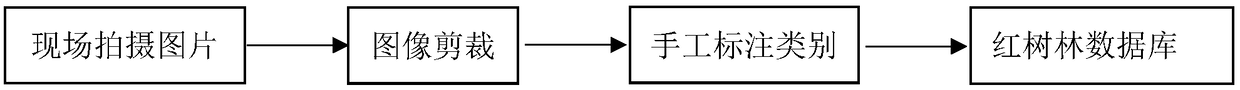 Bird identification method based on deep learning