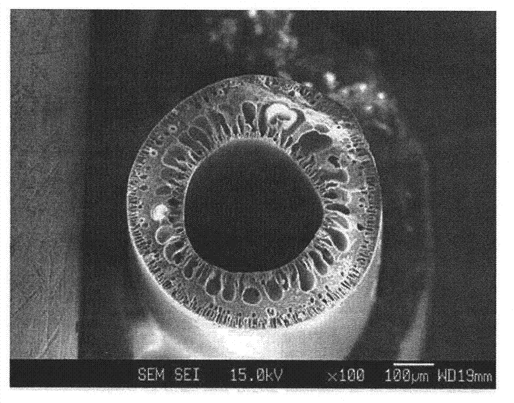 Hollow fiber, dope solution composition for forming a hollow fiber, and method for manufacturing a hollow fiber using the same