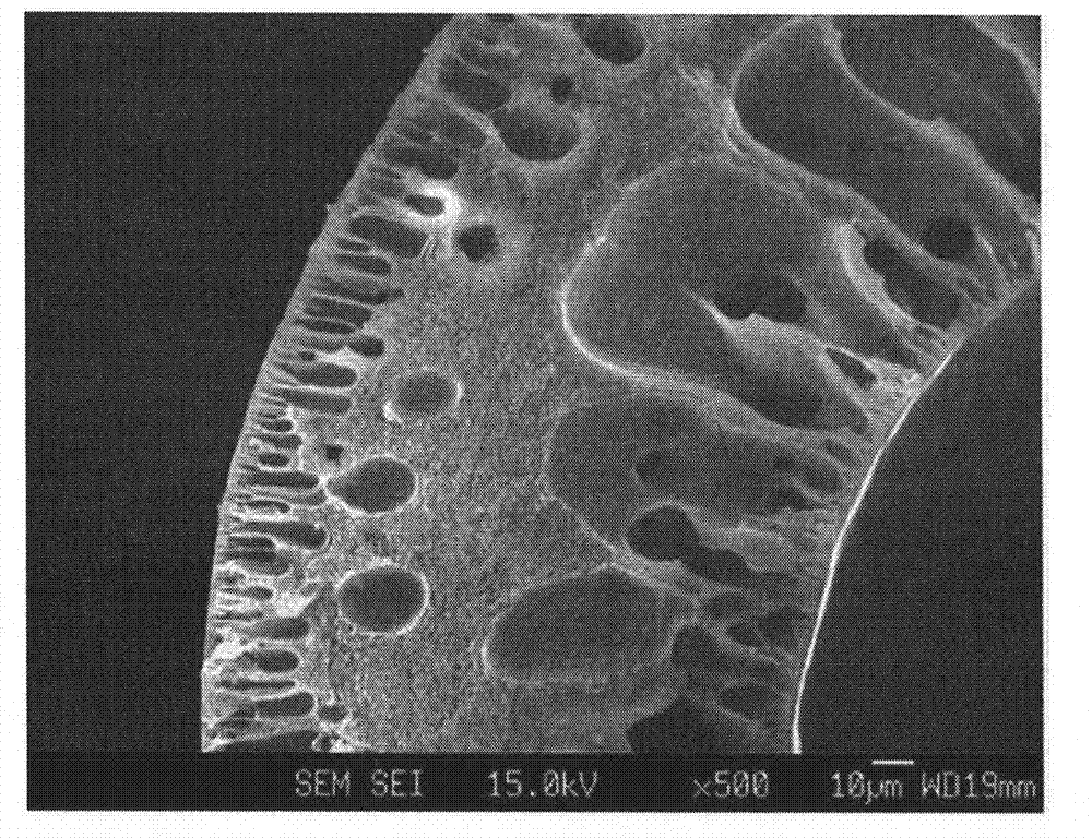 Hollow fiber, dope solution composition for forming a hollow fiber, and method for manufacturing a hollow fiber using the same