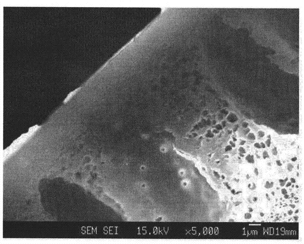 Hollow fiber, dope solution composition for forming a hollow fiber, and method for manufacturing a hollow fiber using the same