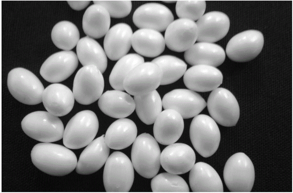 Thermoplastic polyurethane elastomer foam bead and preparation method thereof