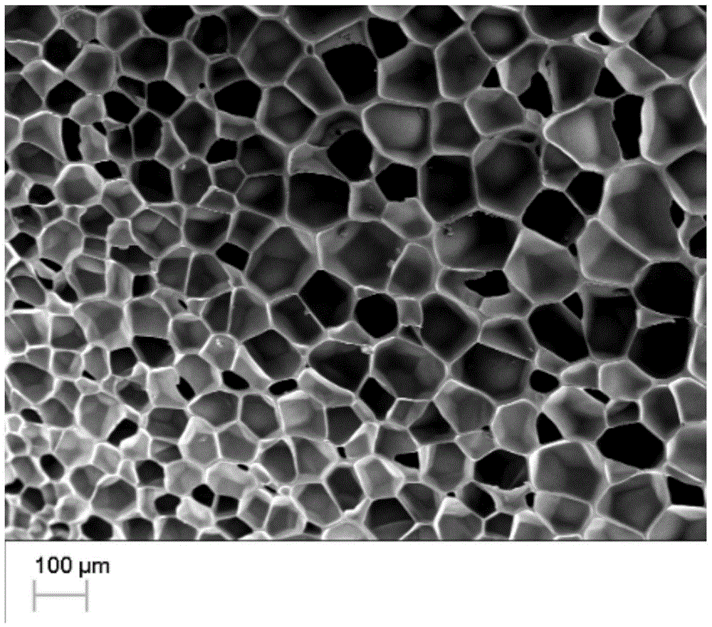 Thermoplastic polyurethane elastomer foam bead and preparation method thereof