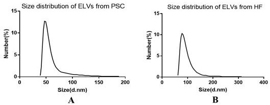 Non-coding RNA expression profile analysis method for echinococcus granulosus protoscolex derived exosomes and cyst fluid derived exosomes and non-coding RNA sequences