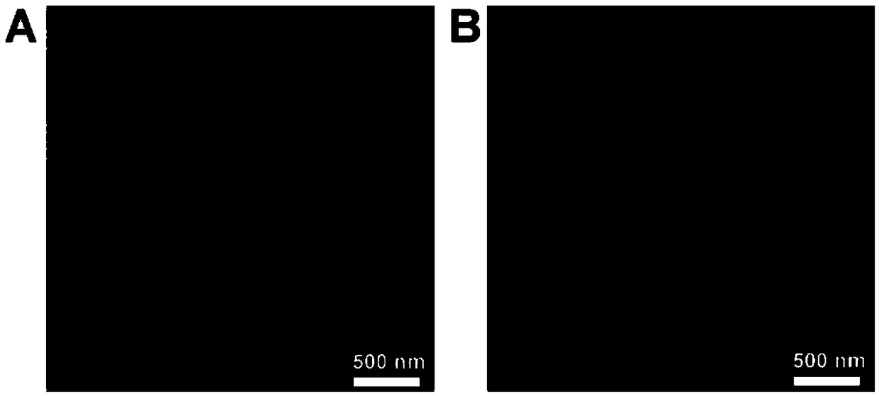 Novel protein-DNA complex for detecting carcino-embryonic antigen as well as synthetic method and application thereof