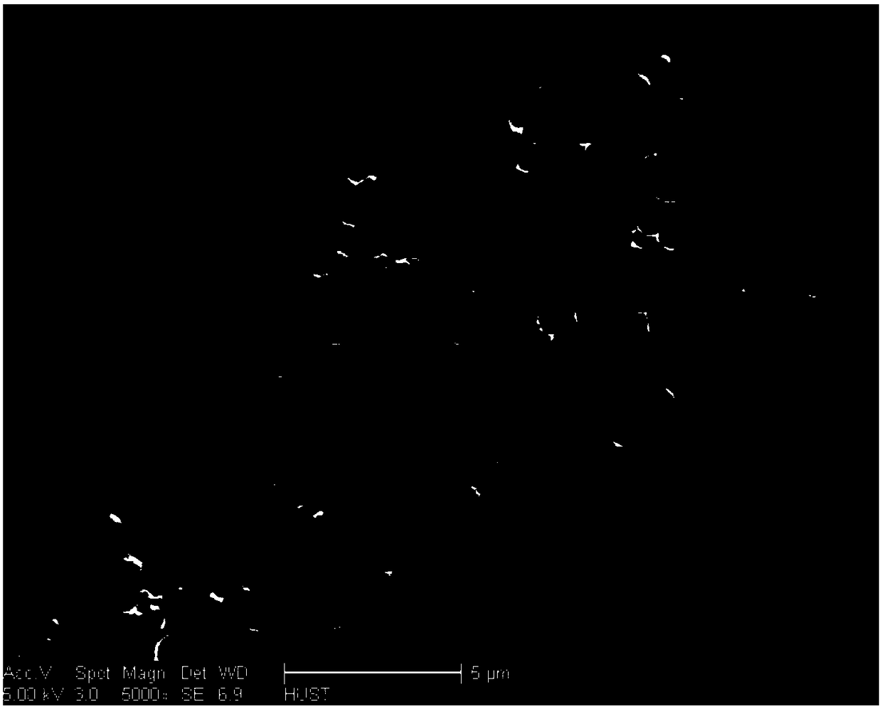 A kind of epoxy resin matrix composite material and preparation method thereof