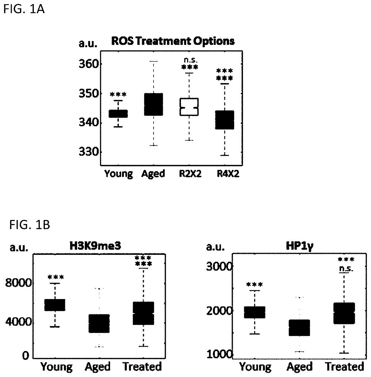 Transient cellular reprogramming for reversal of cell aging