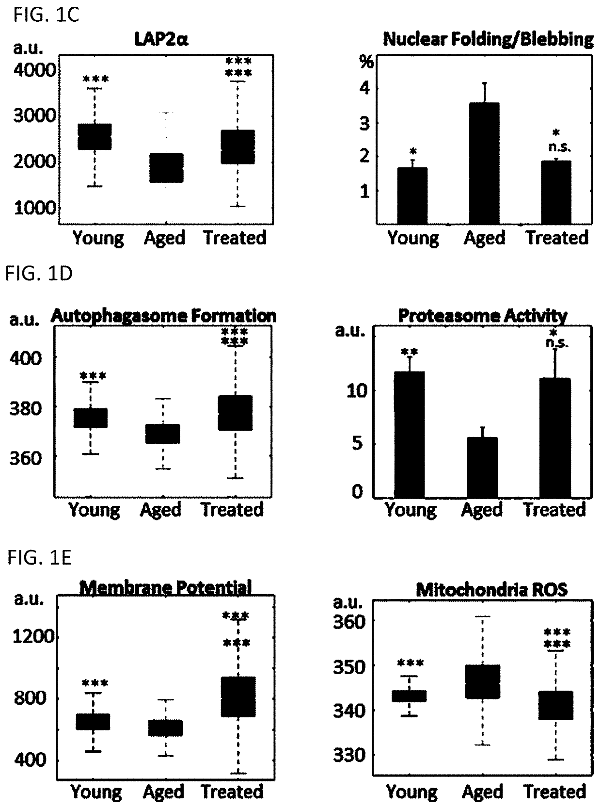 Transient cellular reprogramming for reversal of cell aging