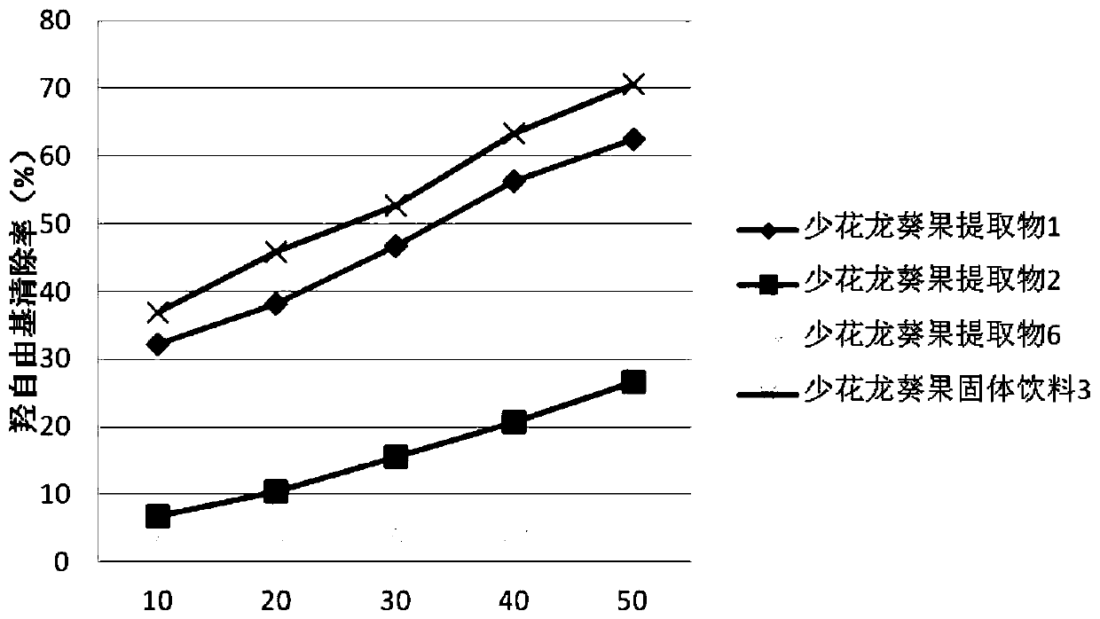 Solanum photeinocarpum solid beverage and application thereof