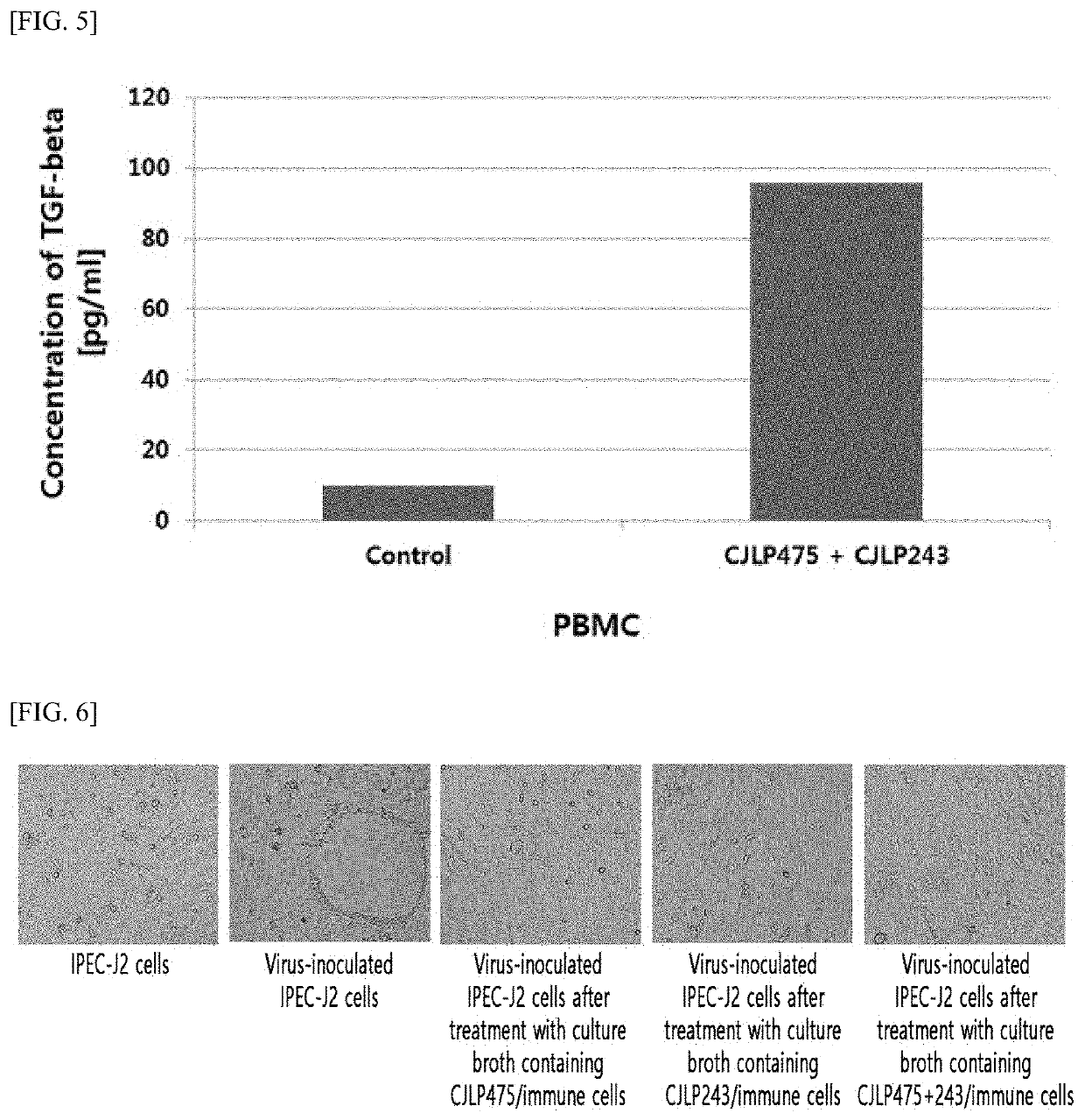 Composition comprising lactobacillus plantarum cjlp475 strain and lactobacillus plantarum cjlp243 strain and use thereof